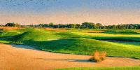 The Loop - Twin Cities Golf Courses are Considering Shorter Options