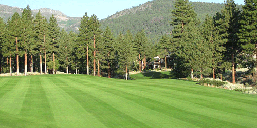 Montreux Golf & Country Club Golf Package