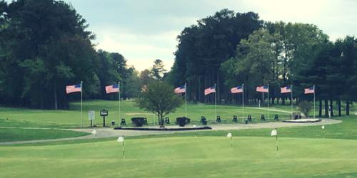 Mulligans Pines