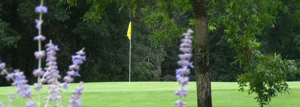 Carefree Country Club